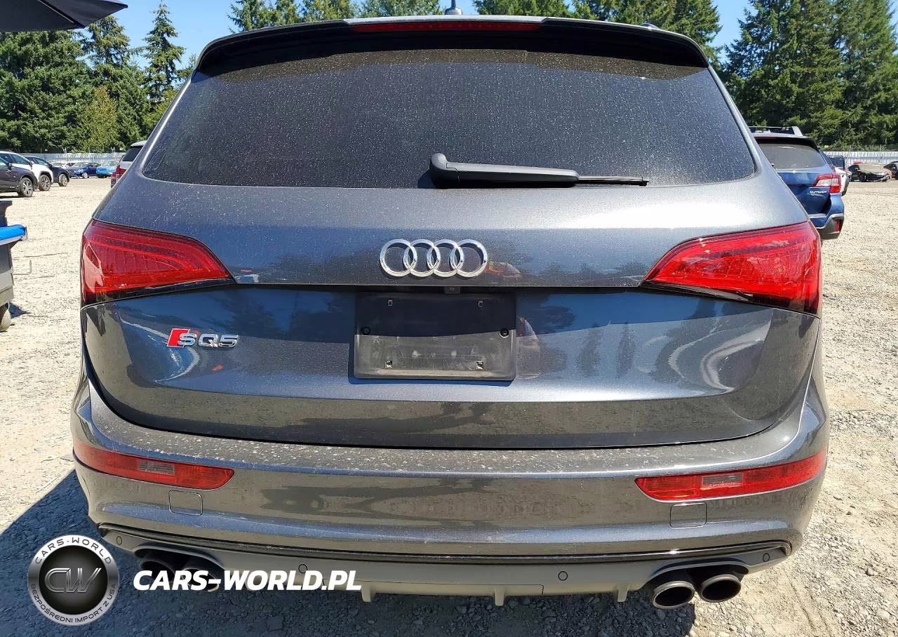 2016 Audi Sq5 Premium Plus VIN:WA1CCAFP3GA044281 - 6