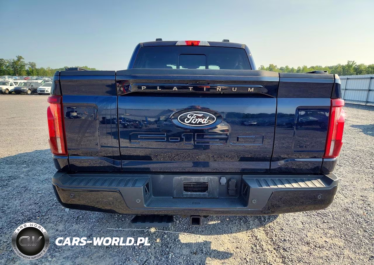 2024 Ford F150 Platinum VIN:1FTFW7LD3RFB59654 - 6