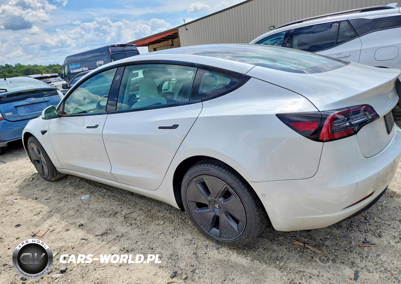 2022 Tesla Model 3 VIN:5YJ3E1EB0NF231598 - 2