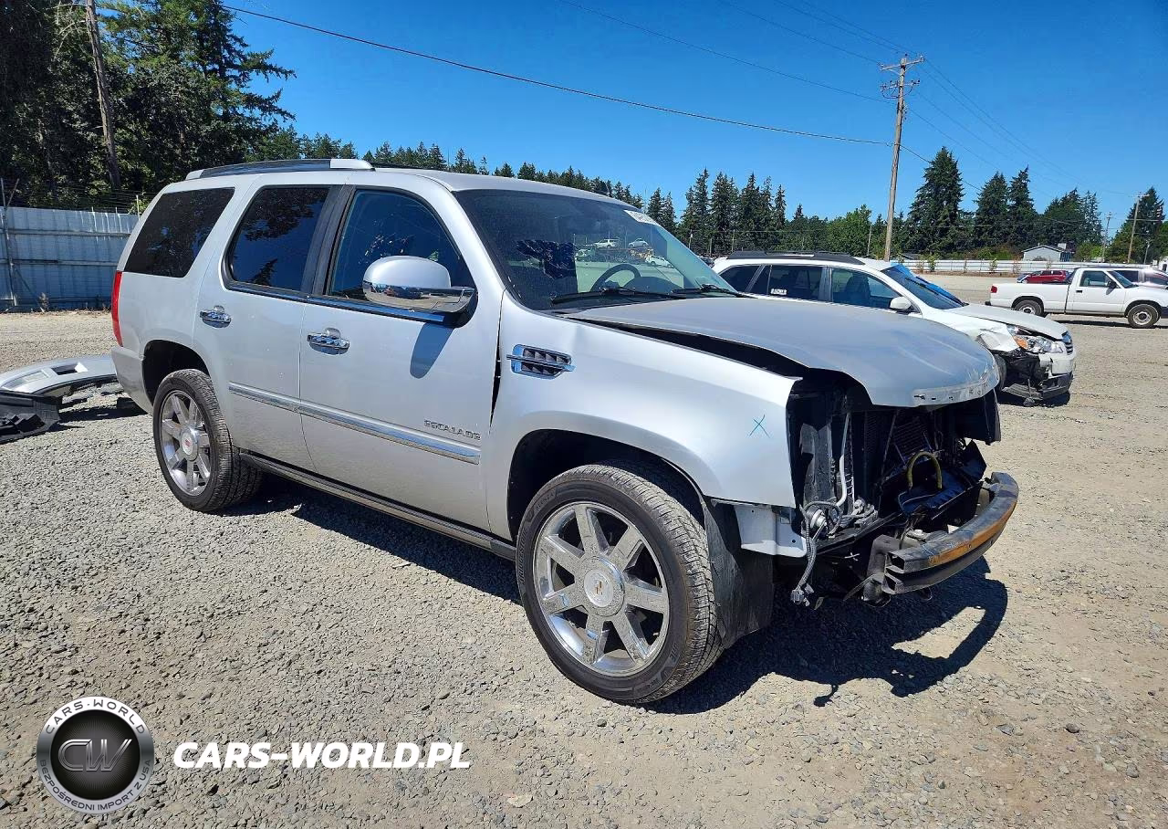 2011 Cadillac Escalade Premium VIN:1GYS4CEF2BR194289 - 5