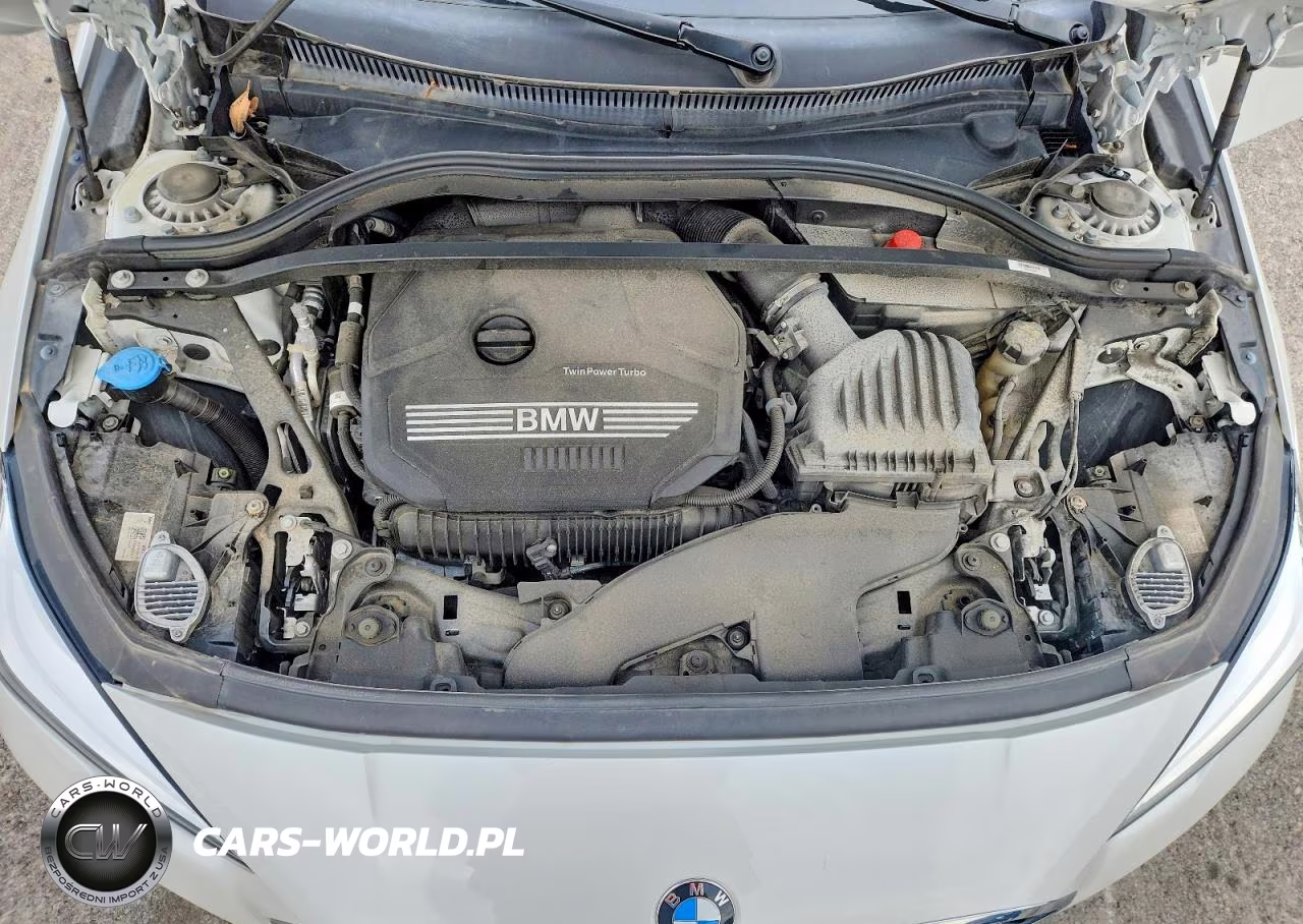 2022 BMW 228I VIN:WBA53AK03N7K83747 - 11
