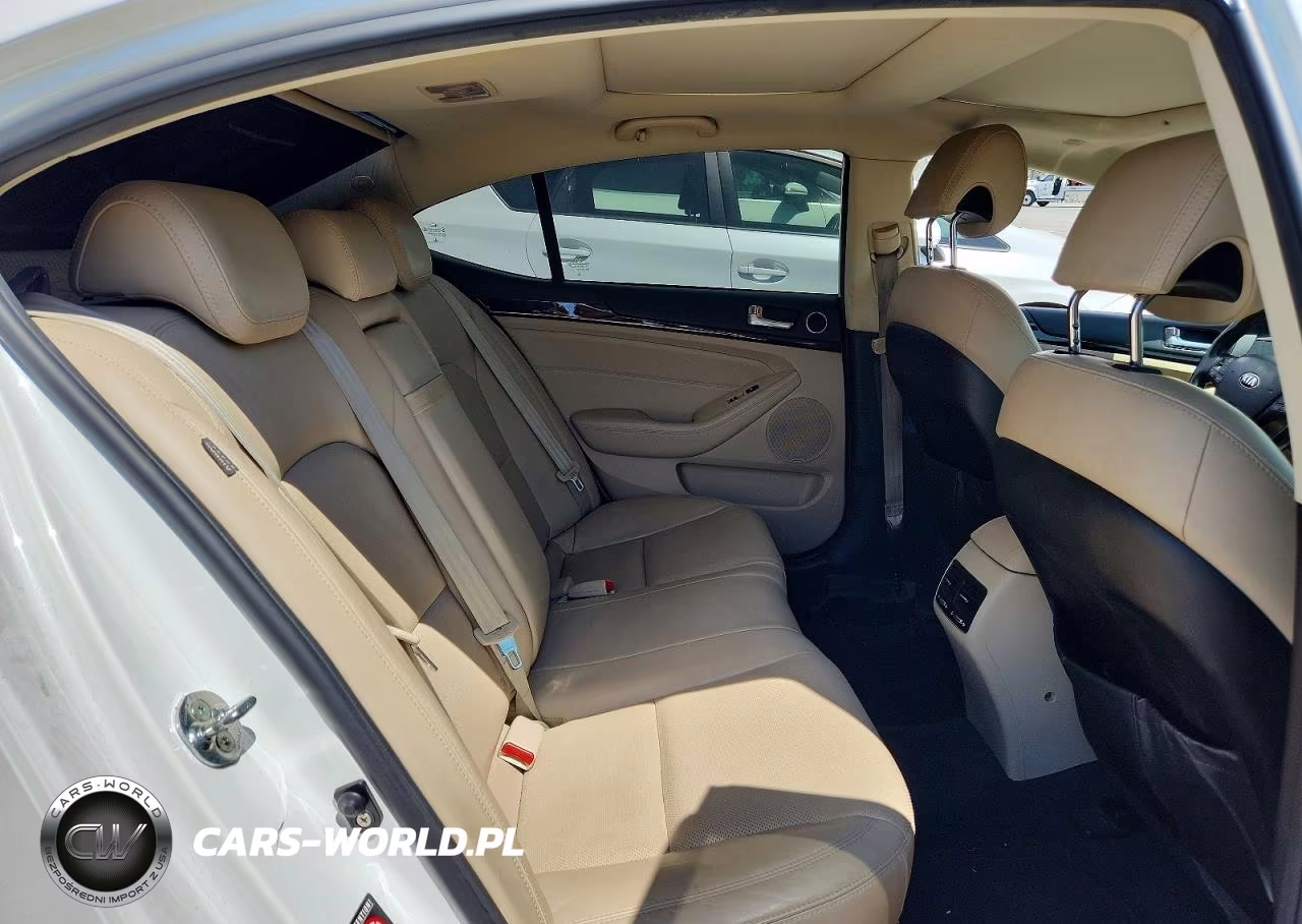 2014 Kia Cadenza Premium VIN:KNALN4D76E5137593 - 10