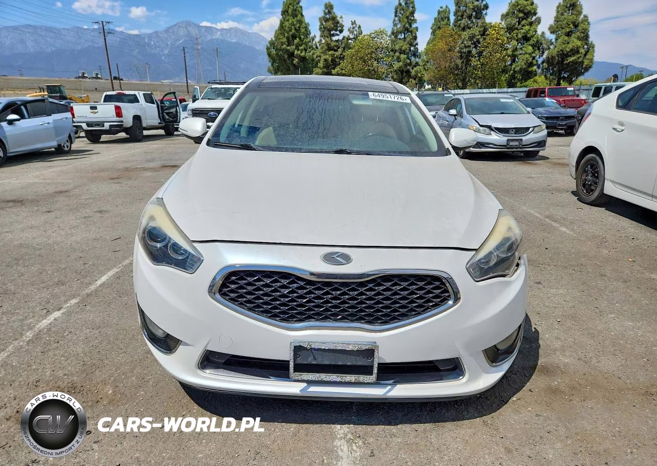 2014 Kia Cadenza Premium VIN:KNALN4D76E5137593 - 5