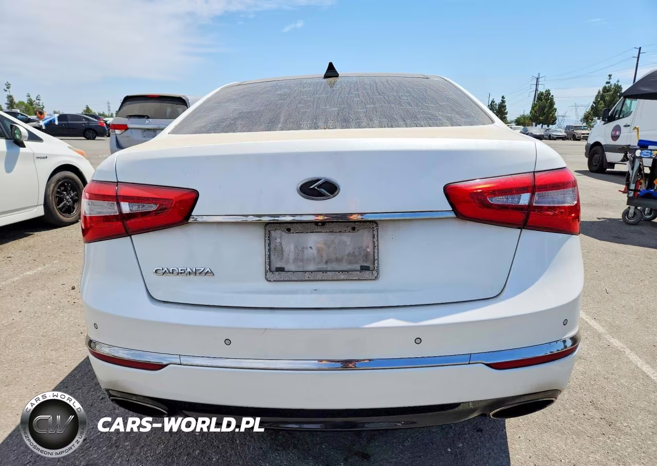 2014 Kia Cadenza Premium VIN:KNALN4D76E5137593 - 6