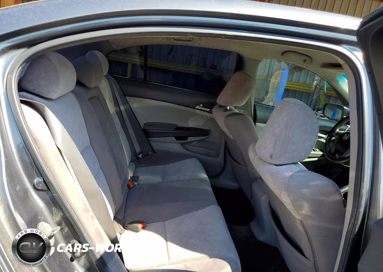 2010 Honda Accord Lx VIN:1HGCP2F33AA101780 - 10