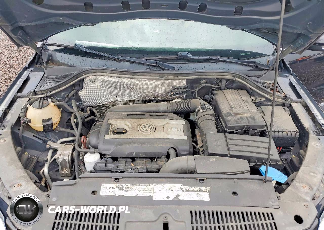 2013 Volkswagen Tiguan S VIN:WVGBV7AX7DW501173 - 12
