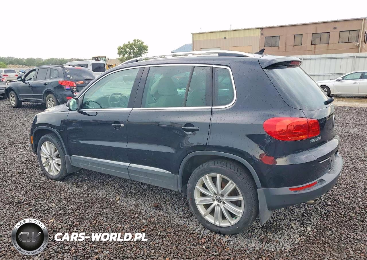 2013 Volkswagen Tiguan S VIN:WVGBV7AX7DW501173 - 2
