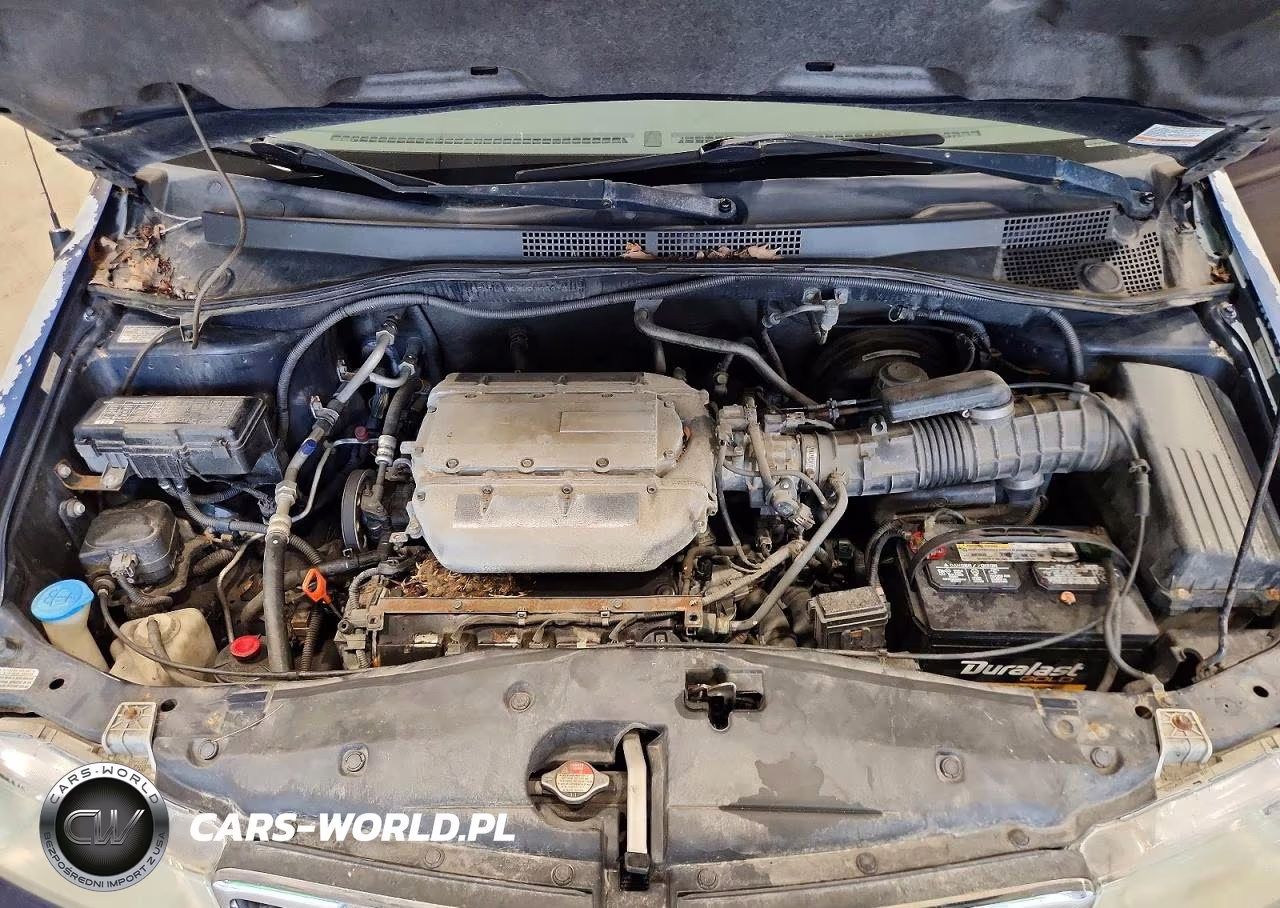 2004 Honda Odyssey Exl VIN:5FNRL180X4B104933 - 11