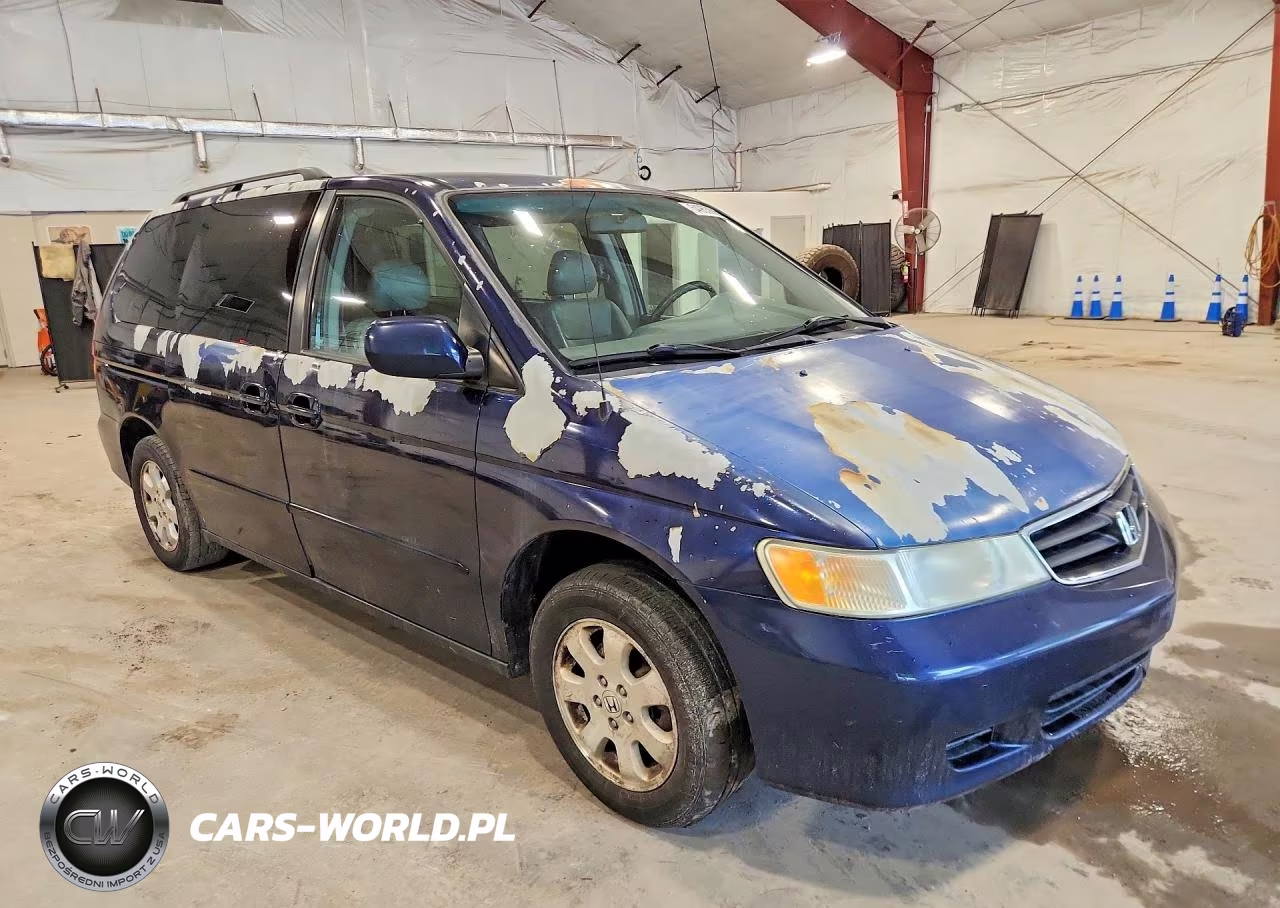 2004 Honda Odyssey Exl VIN:5FNRL180X4B104933 - 4