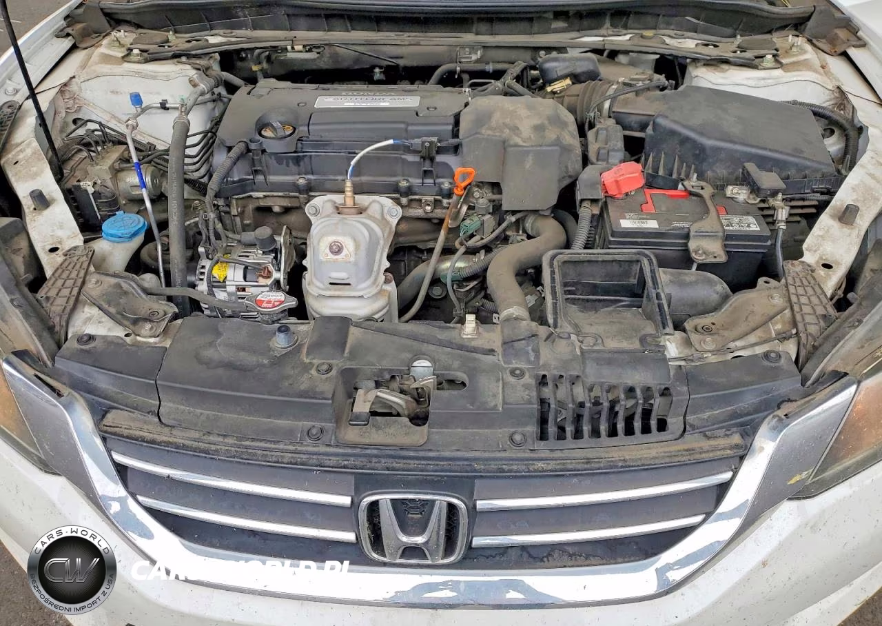 2013 Honda Accord Exl VIN:1HGCR2F81DA004734 - 11