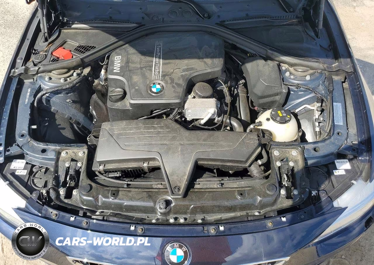 2016 BMW 428 Xi VIN:WBA3N9C55GK249903 - 11