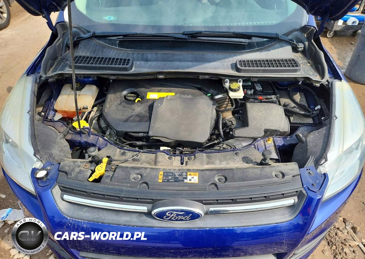 2016 Ford Escape Se VIN:1FMCU0GX4GUB12495 - 11