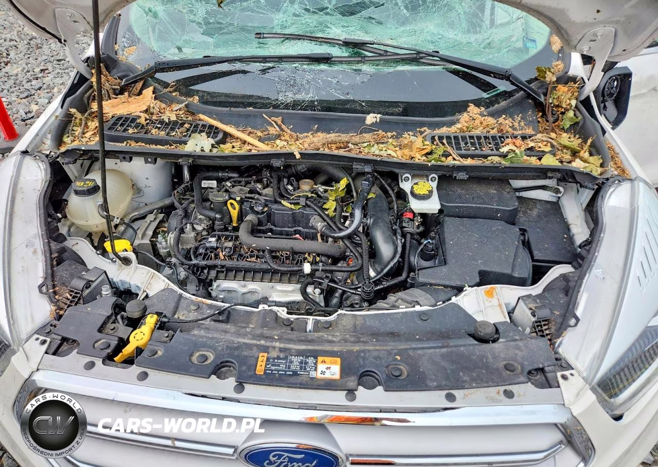 2019 Ford Escape Sel VIN:1FMCU9HD6KUA81106 - 11