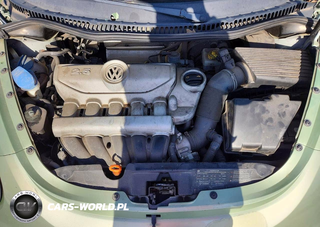 2009 Volkswagen New Beetle S VIN:3VWRW31C49M511038 - 11