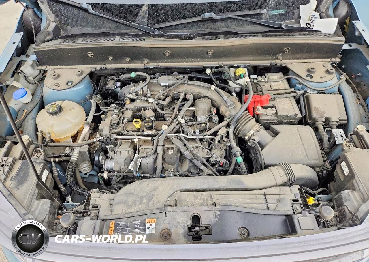 2023 Ford Bronco Sport Badlands VIN:3FMCR9D92PRD78620 - 11