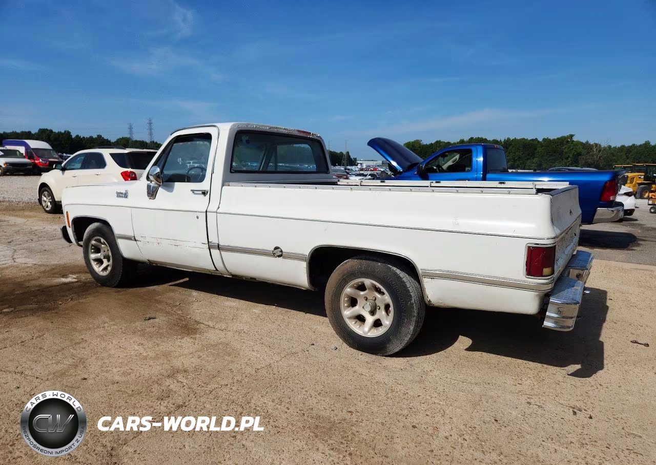1977 Chevrolet C10 VIN:CCU147S166129 - 2