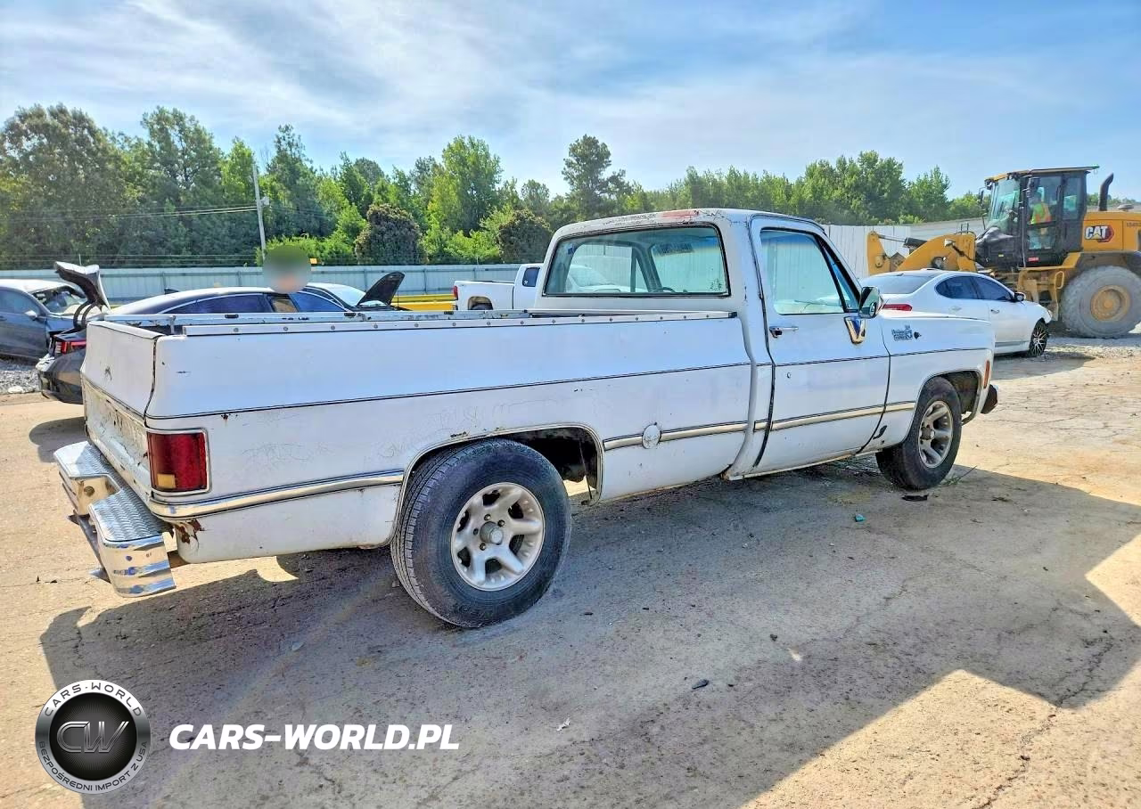 1977 Chevrolet C10 VIN:CCU147S166129 - 3