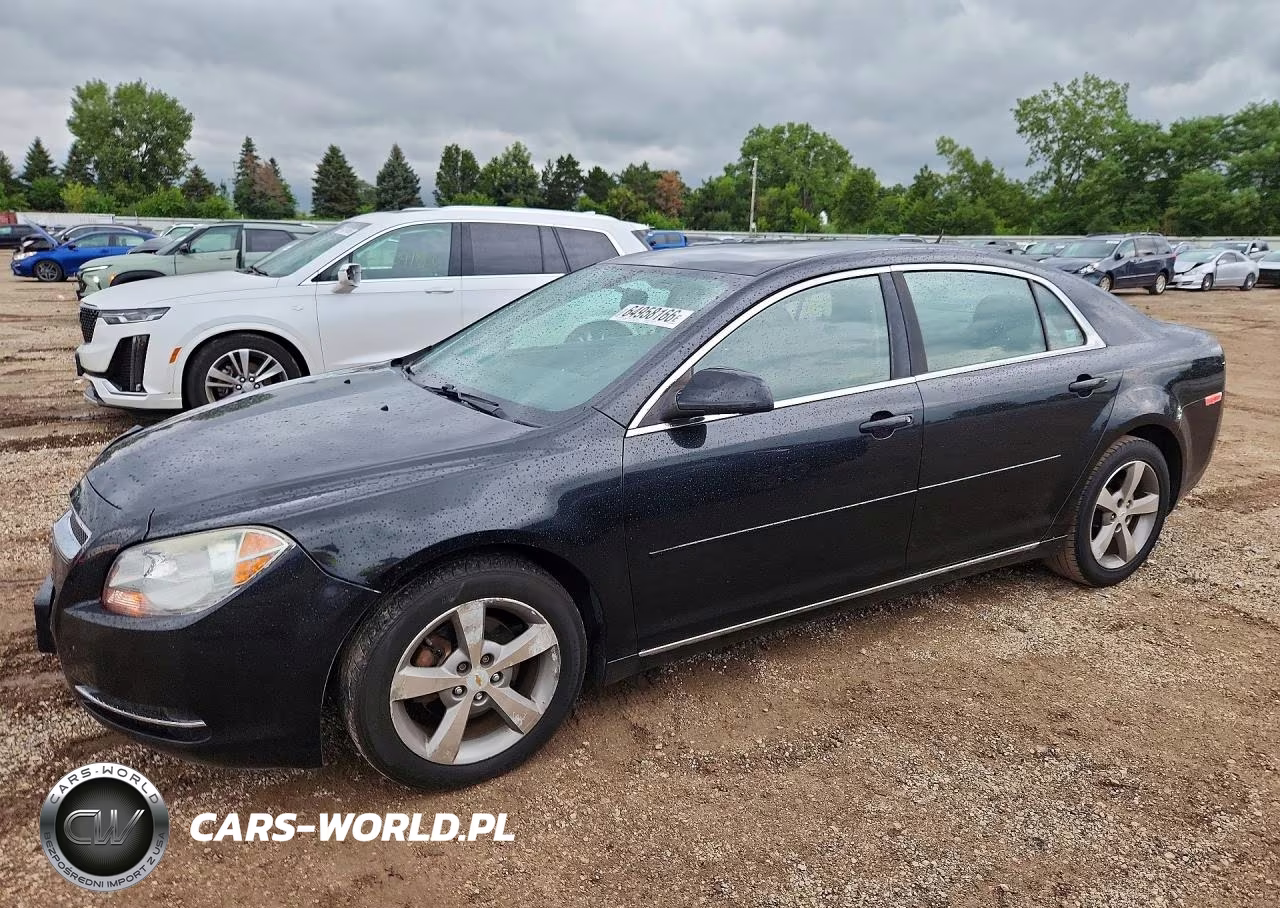 2011 Chevrolet Malibu 1Lt VIN:1G1ZC5E15BF302843 - 1