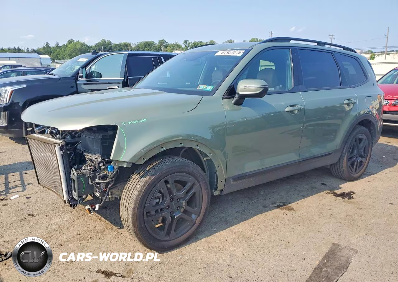 2025 Kia Telluride Ex X-Line VIN:5XYP3DGC1SG640180 - 1
