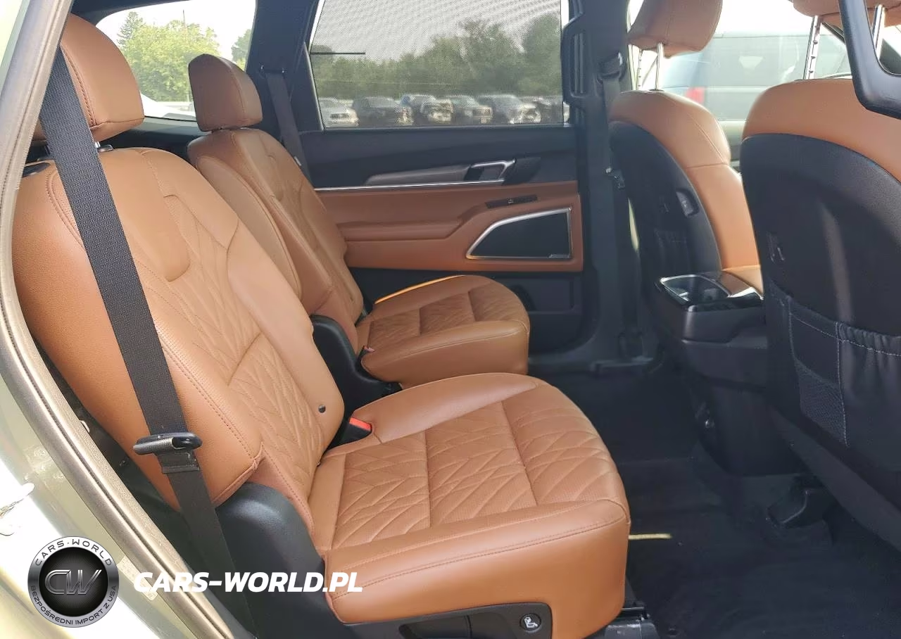 2025 Kia Telluride Ex X-Line VIN:5XYP3DGC1SG640180 - 11