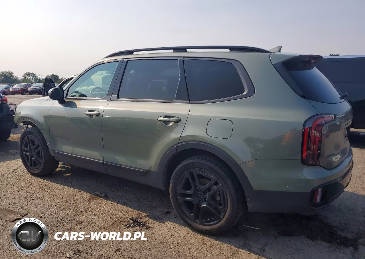 2025 Kia Telluride Ex X-Line VIN:5XYP3DGC1SG640180 - 2