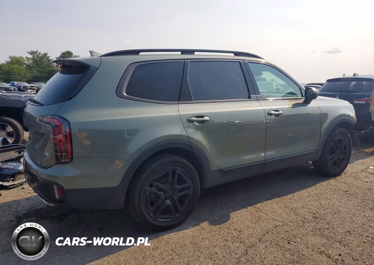 2025 Kia Telluride Ex X-Line VIN:5XYP3DGC1SG640180 - 3