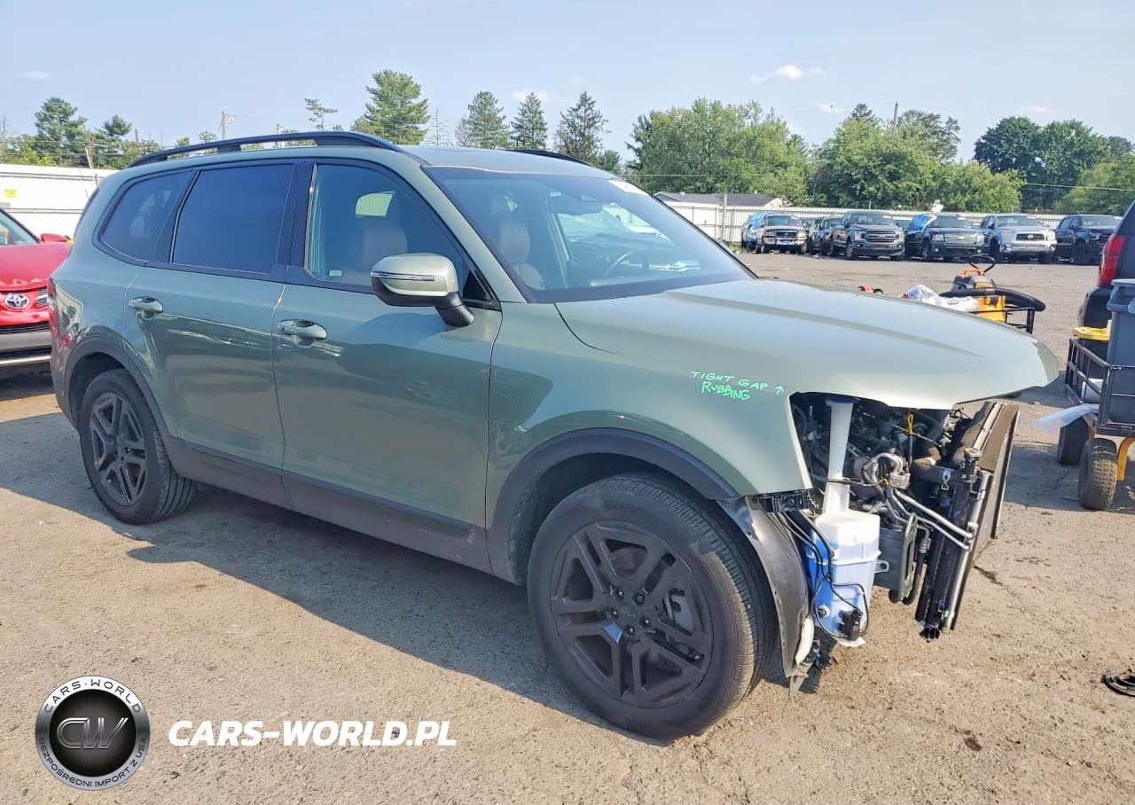 2025 Kia Telluride Ex X-Line VIN:5XYP3DGC1SG640180 - 4