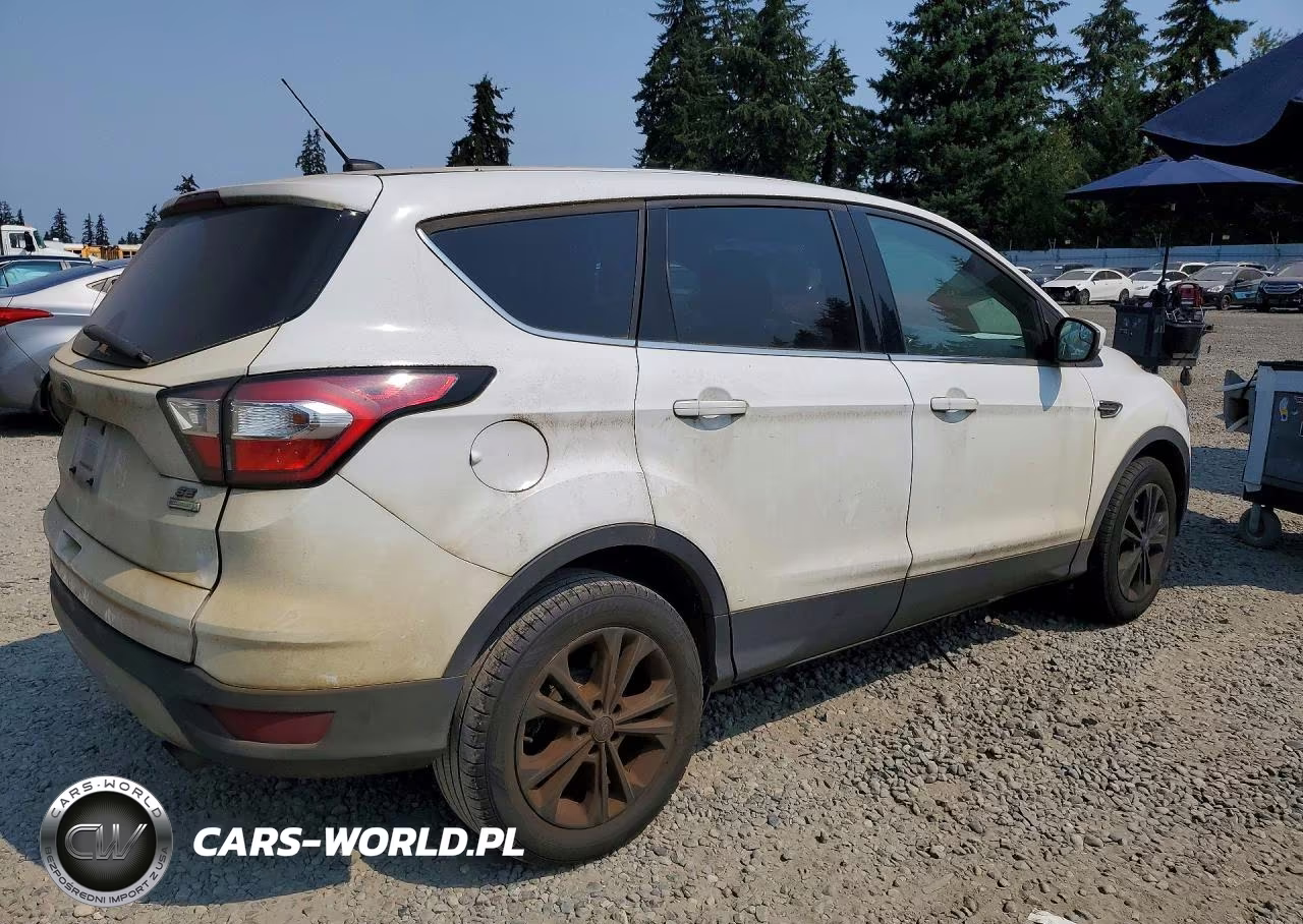 2017 Ford Escape Se VIN:1FMCU0G95HUD44784 - 3