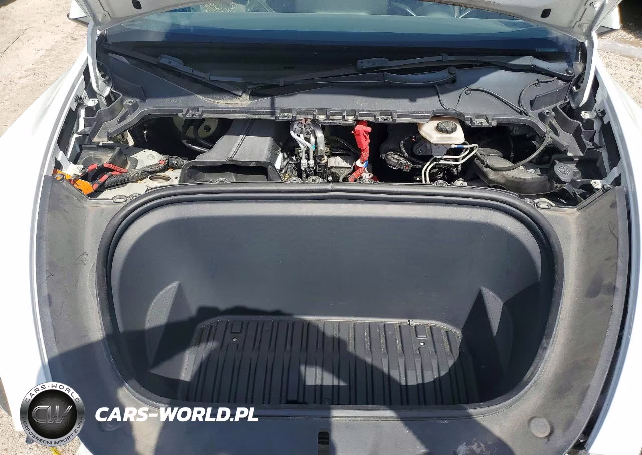 2023 Tesla Model Y VIN:7SAYGDEE6PA124621 - 12