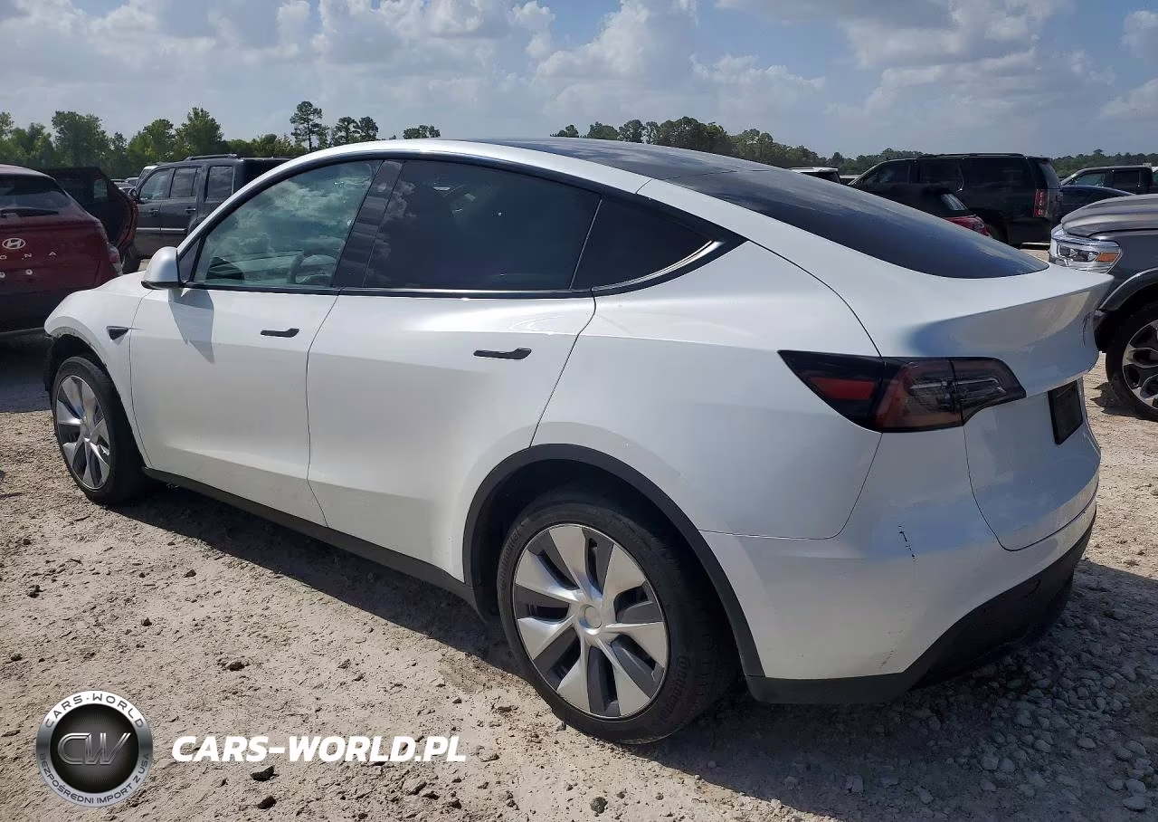 2023 Tesla Model Y VIN:7SAYGDEE6PA124621 - 2