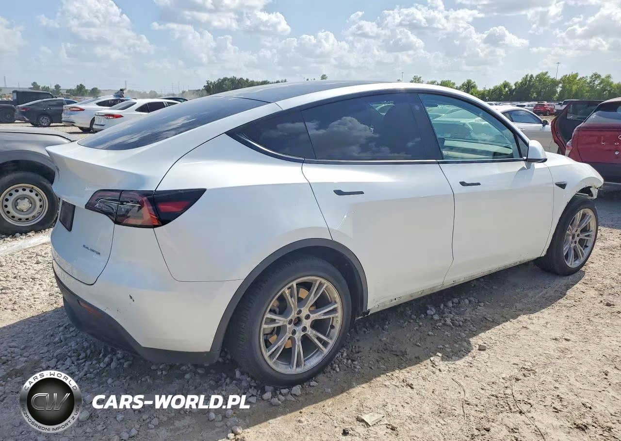 2023 Tesla Model Y VIN:7SAYGDEE6PA124621 - 3