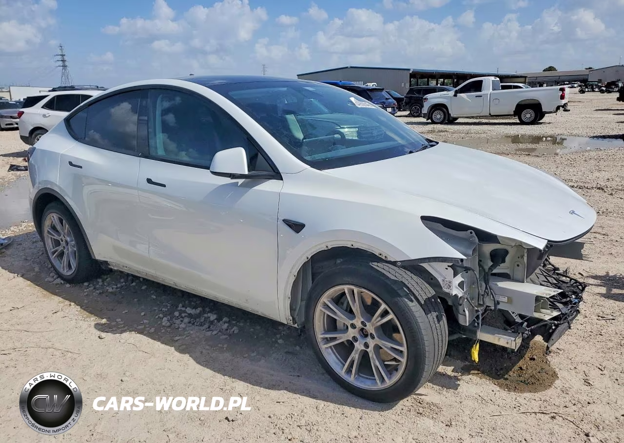 2023 Tesla Model Y VIN:7SAYGDEE6PA124621 - 4