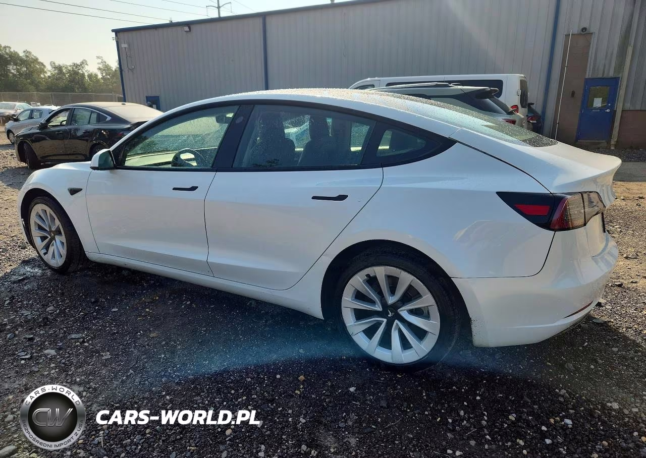 2023 Tesla Model 3 VIN:5YJ3E1EA3PF435290 - 2