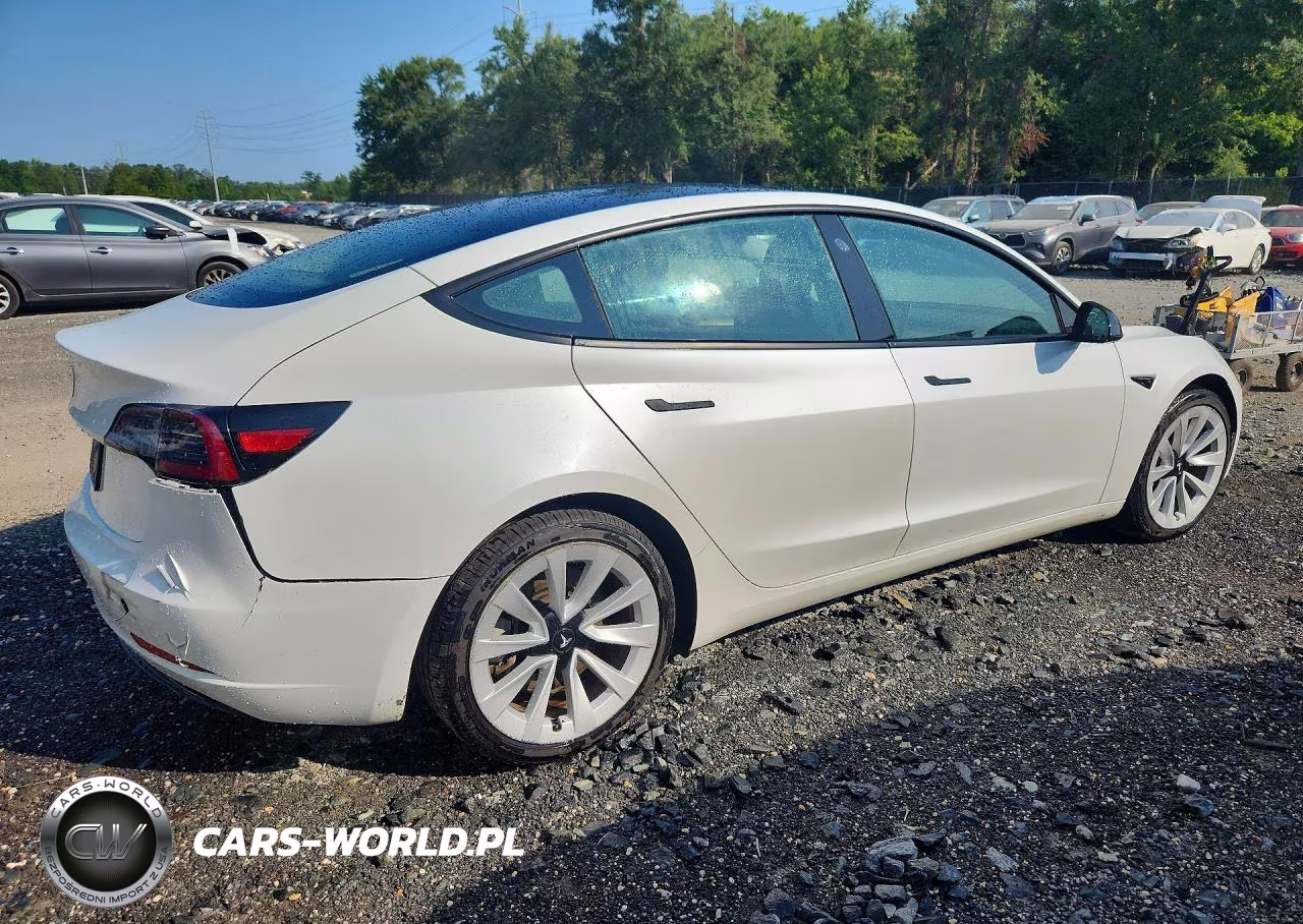 2023 Tesla Model 3 VIN:5YJ3E1EA3PF435290 - 3