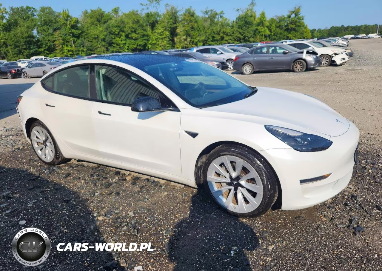 2023 Tesla Model 3 VIN:5YJ3E1EA3PF435290 - 4