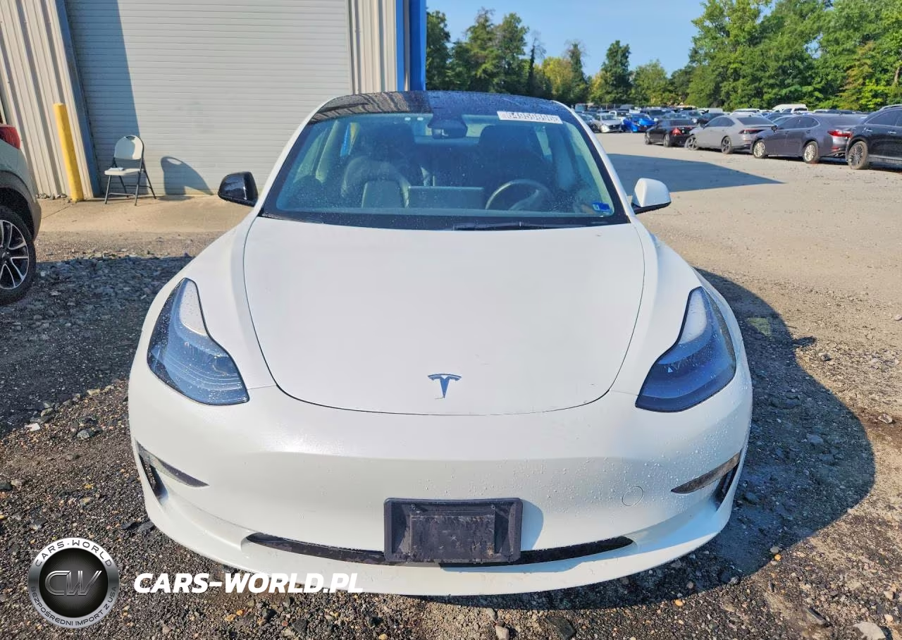 2023 Tesla Model 3 VIN:5YJ3E1EA3PF435290 - 5