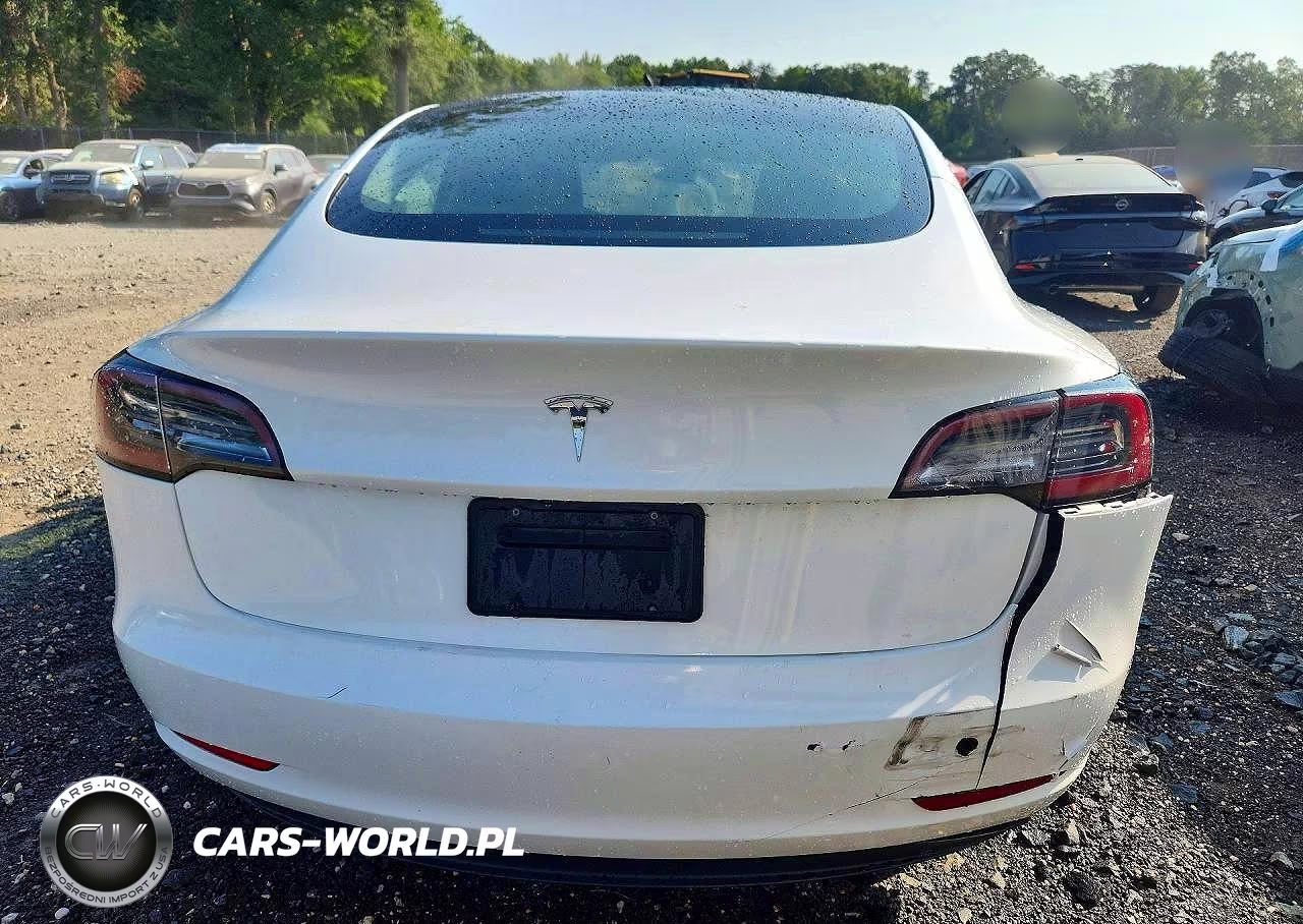 2023 Tesla Model 3 VIN:5YJ3E1EA3PF435290 - 6