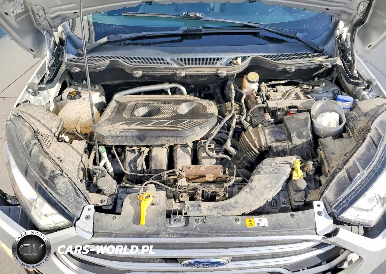 2020 Ford Ecosport Se VIN:MAJ6S3GLXLC321350 - 11