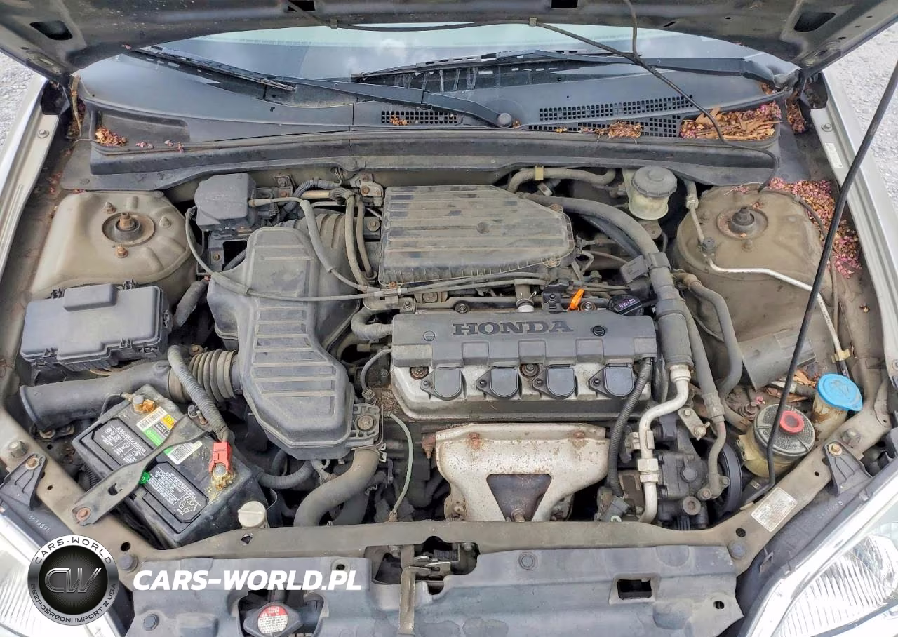 2003 Honda Civic Lx VIN:2HGES16523H505807 - 11