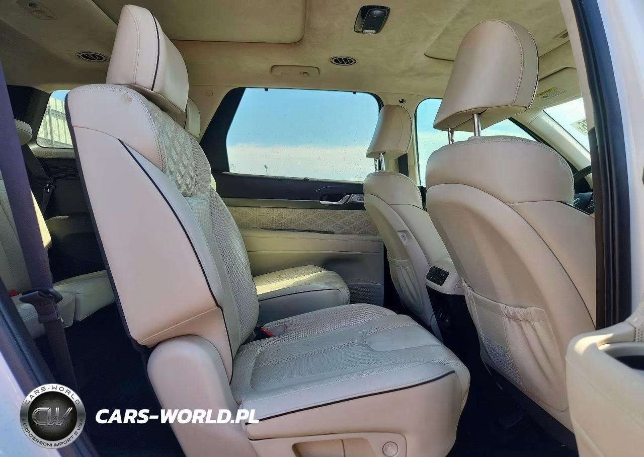 2020 Hyundai Palisade Limited VIN:KM8R5DHE5LU094367 - 11