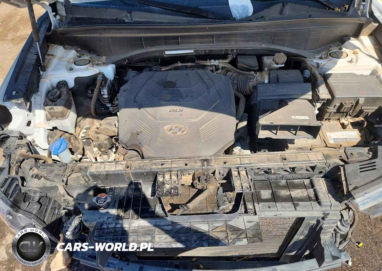 2020 Hyundai Palisade Limited VIN:KM8R5DHE5LU094367 - 12