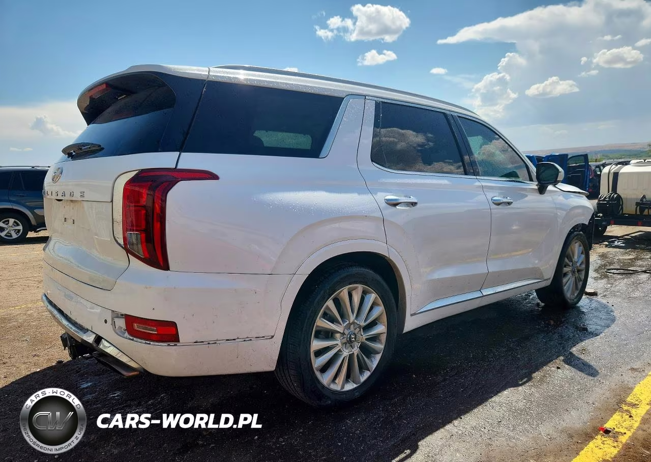 2020 Hyundai Palisade Limited VIN:KM8R5DHE5LU094367 - 3