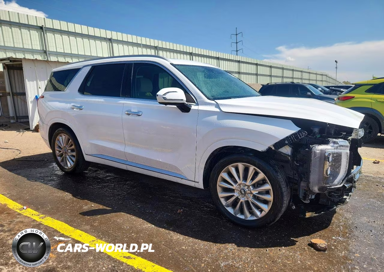 2020 Hyundai Palisade Limited VIN:KM8R5DHE5LU094367 - 4