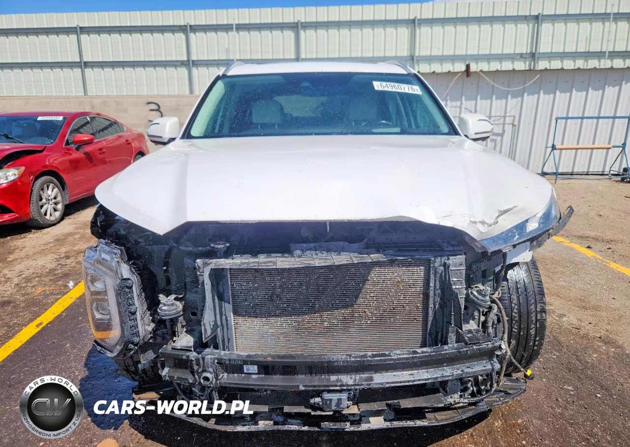 2020 Hyundai Palisade Limited VIN:KM8R5DHE5LU094367 - 5