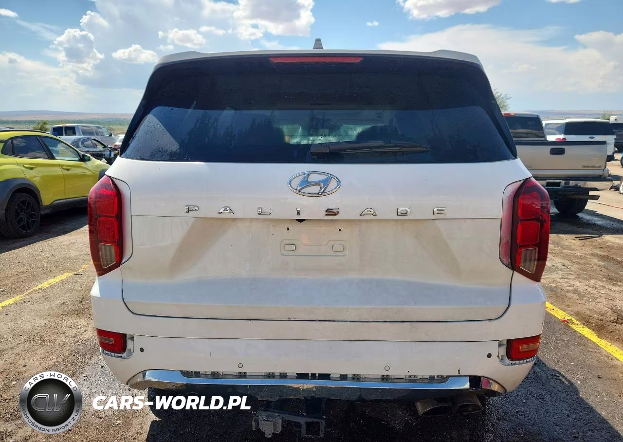 2020 Hyundai Palisade Limited VIN:KM8R5DHE5LU094367 - 6