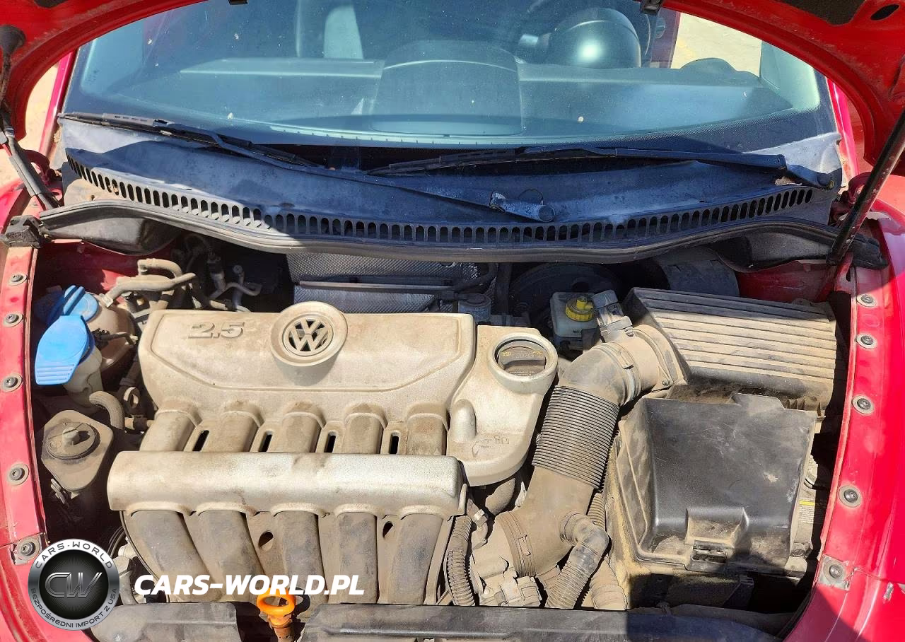 2009 Volkswagen New Beetle S VIN:3VWPW31C59M514943 - 11