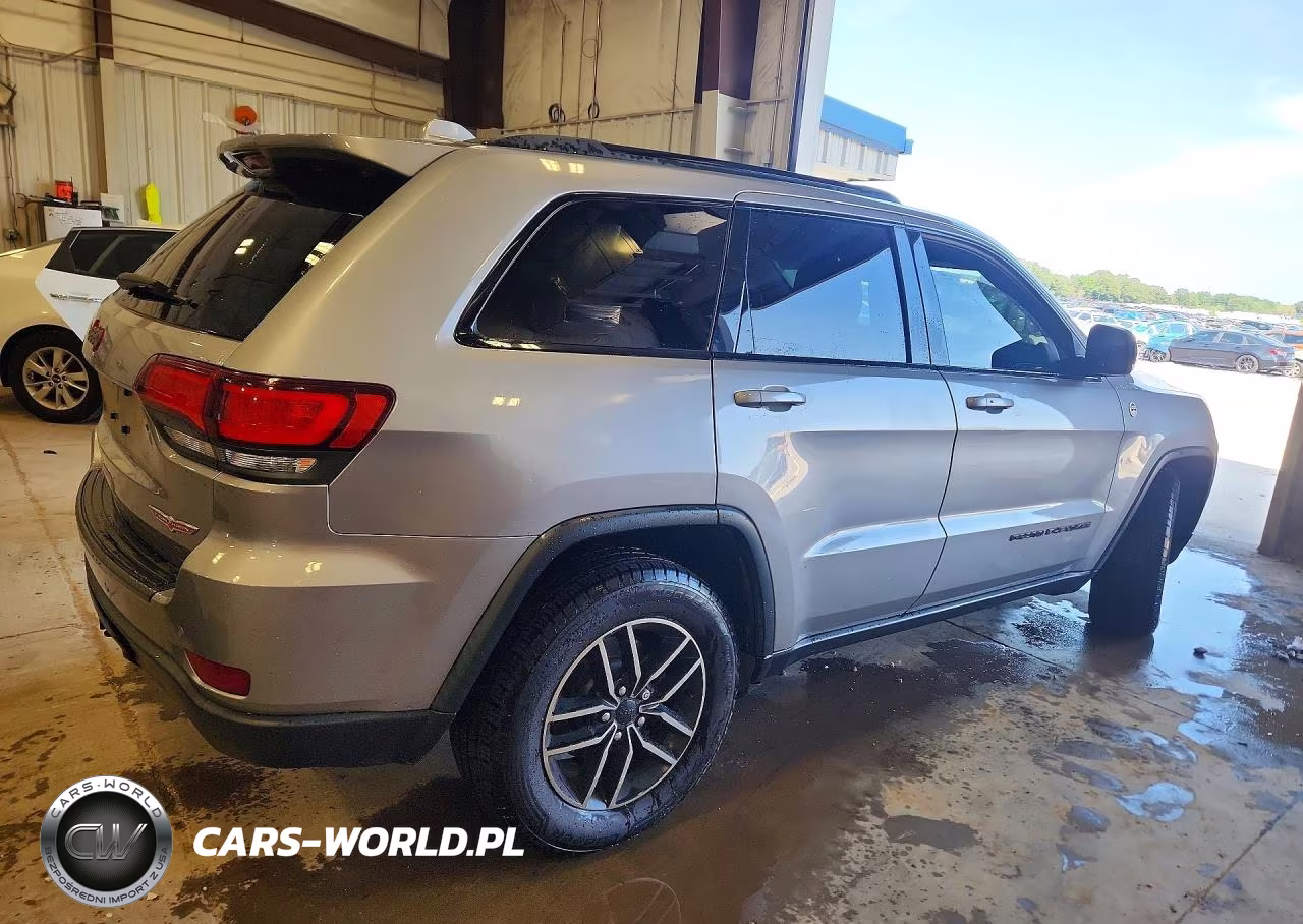 2019 Jeep Grand Cherokee Trailhawk VIN:1C4RJFLG1KC700630 - 3