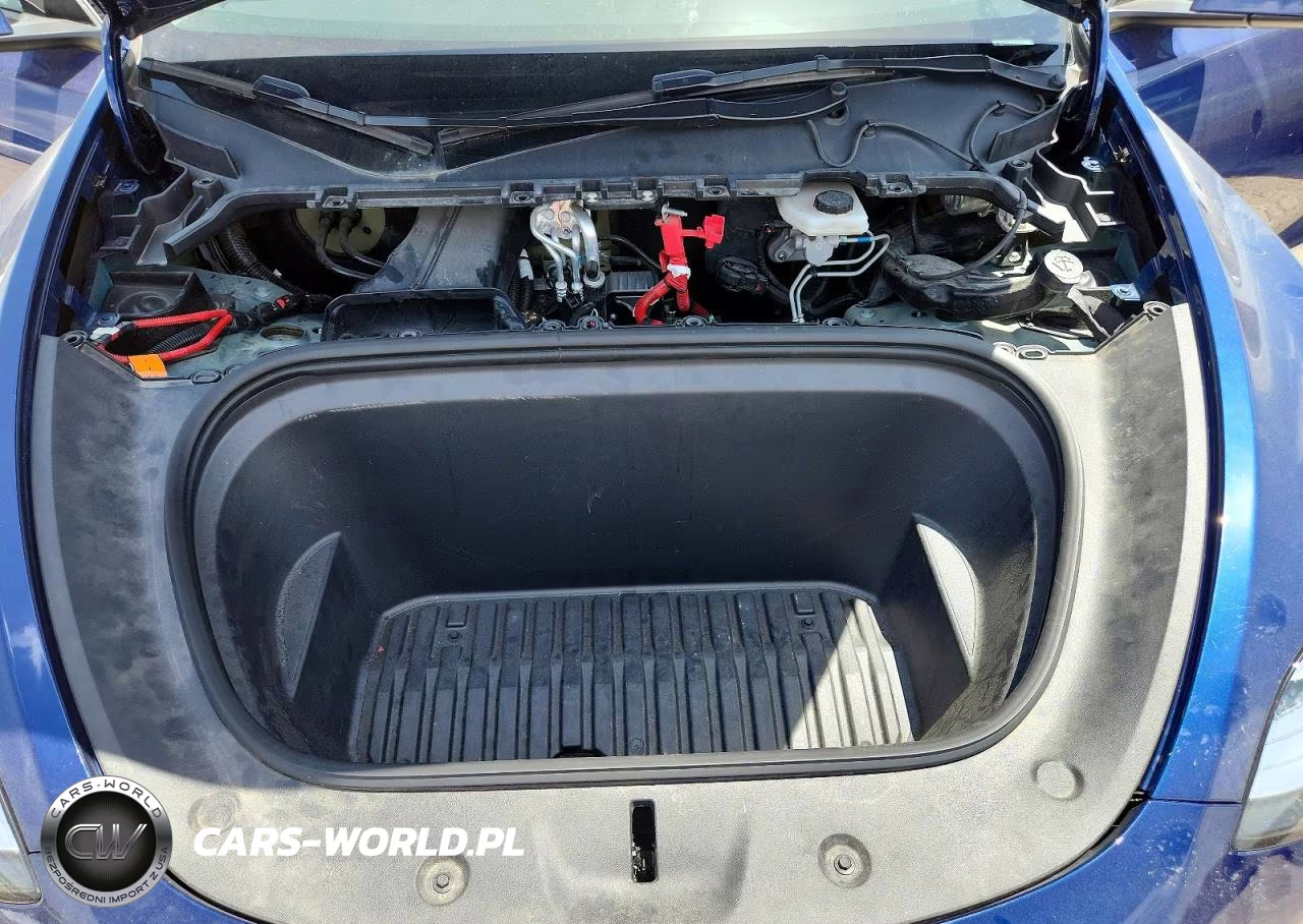 2023 Tesla Model Y VIN:7SAYGDEE6PA148160 - 12