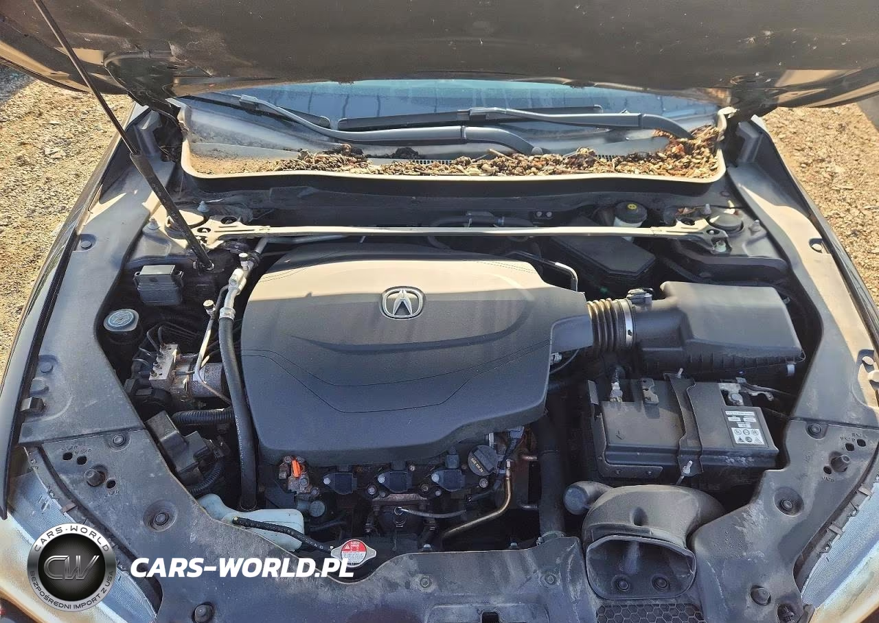 2015 Acura Tlx Tech VIN:19UUB3F55FA006042 - 11