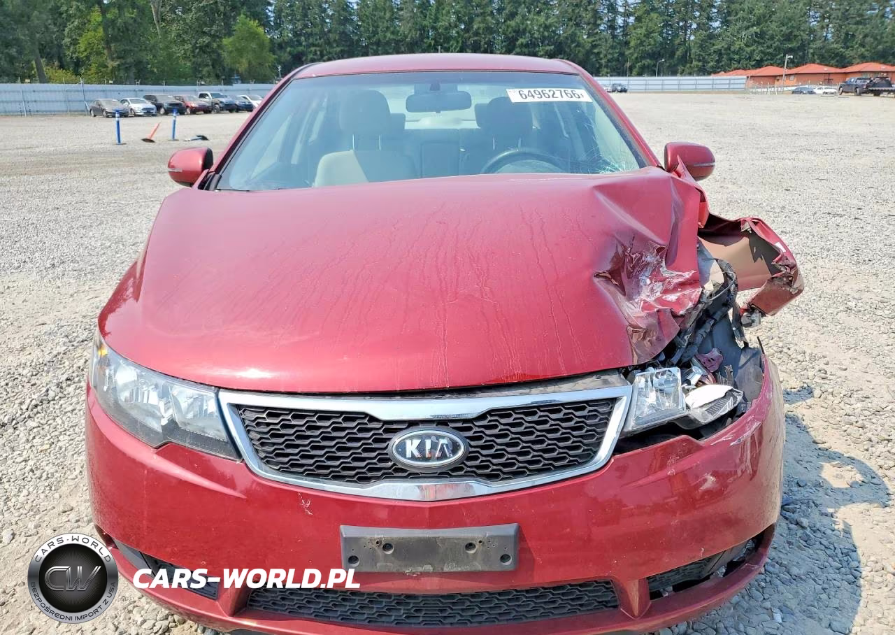 2011 Kia Forte Ex VIN:KNAFU4A26B5423013 - 5